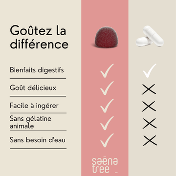 Gommes Probiotiques pour renforcer le système immunitaire et la digestion Saenatree