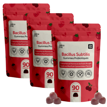 Gummies Probiotiques Saenatree Pack familial de 270 gummies